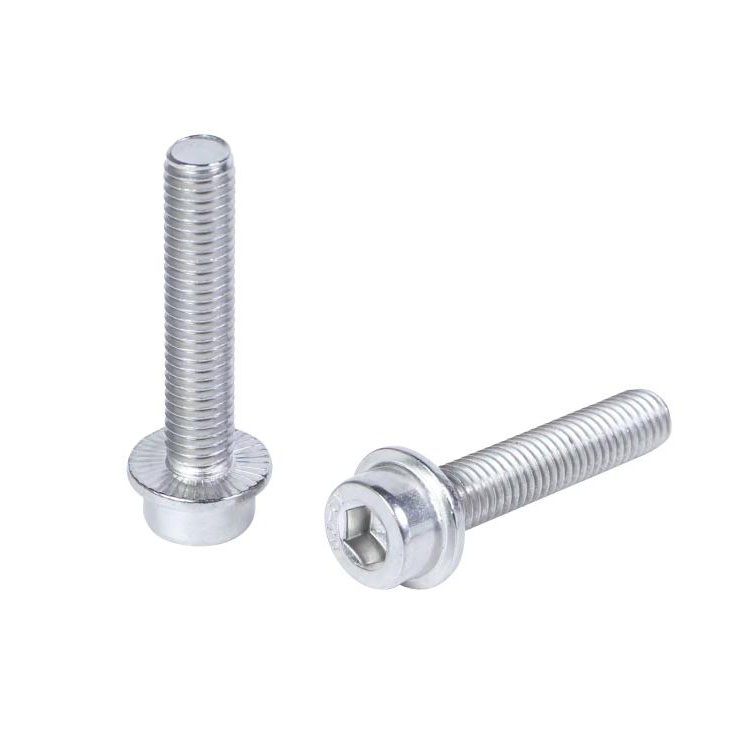 톱니 모양의 플랜지 나사가 있는 DIN251 육각형 소켓 헤드