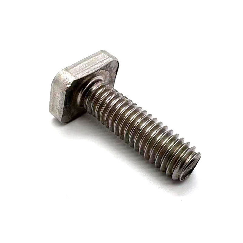 Stainless Steel Square Head T Bolt